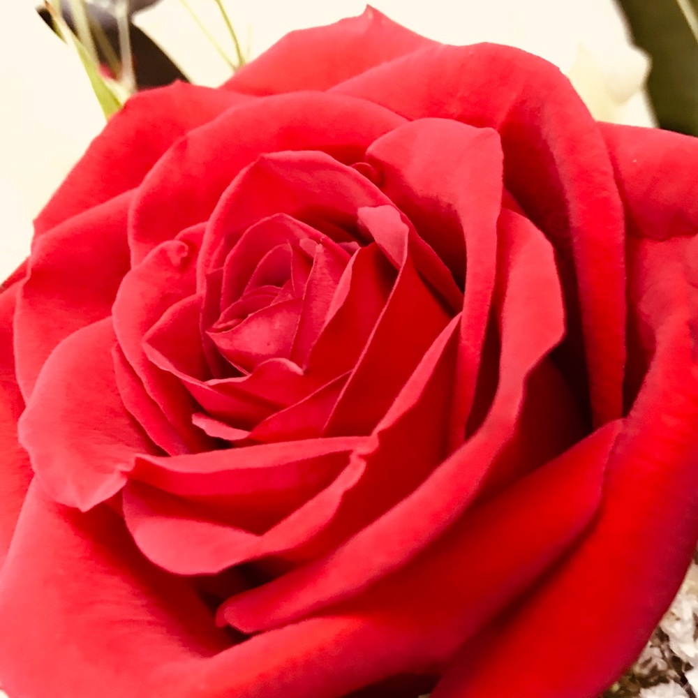 Stephen here living life and loving it